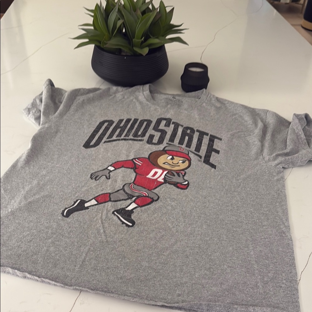 Gray Ohio State Graphic T-Shirt